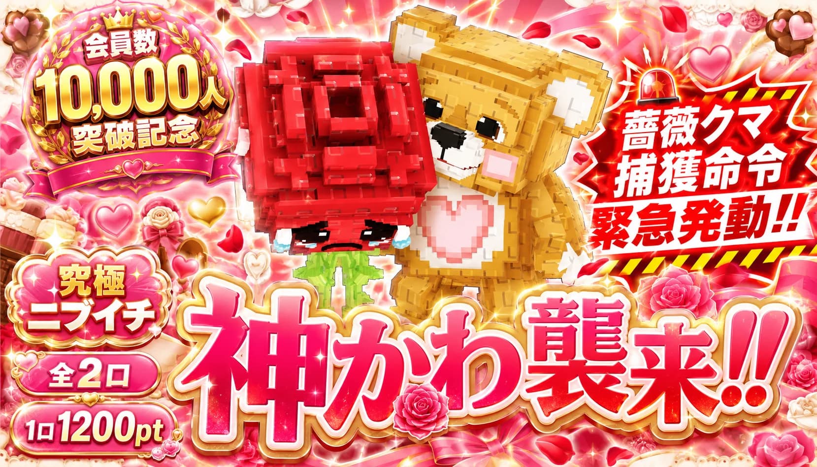 薔薇クマニブイチ